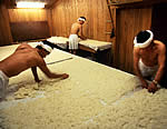 koji culture