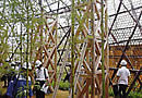 Trends in Japan: Science & Technology