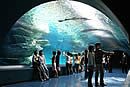 JNTO Travel News