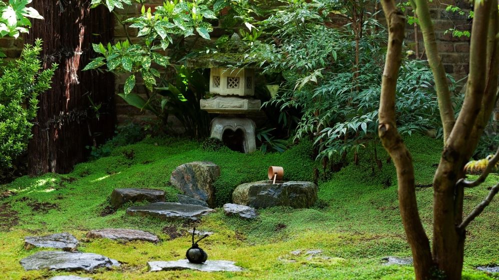 Img:Green Japanese garden