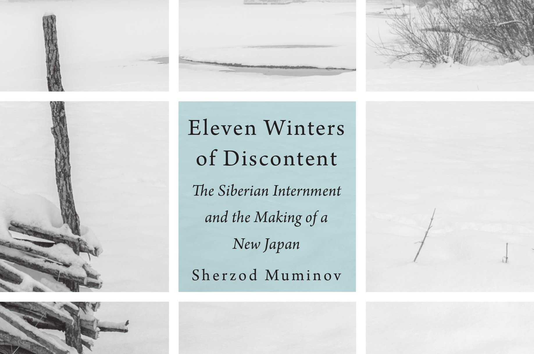 Img:Book cover featuring snowy landscape