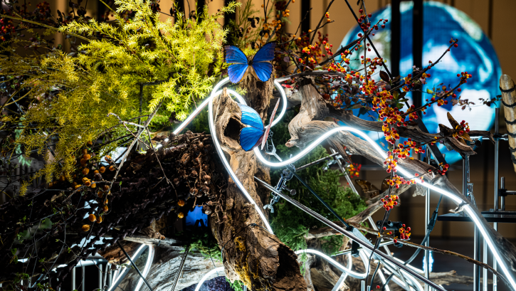 Img:Botanical installation with butterflies sitting on branches