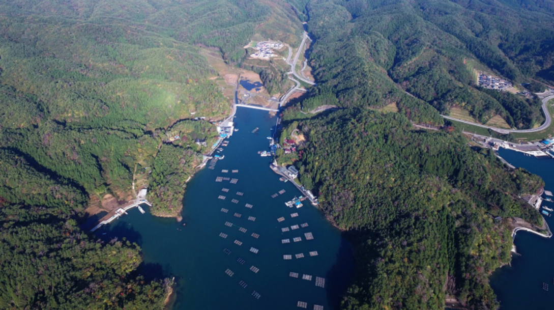 Img:Forested landmass surrounding a blue bay