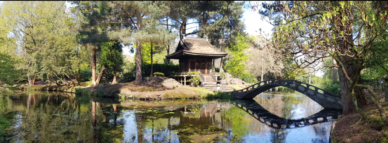 Img:Japanese Garden  pond with bridge