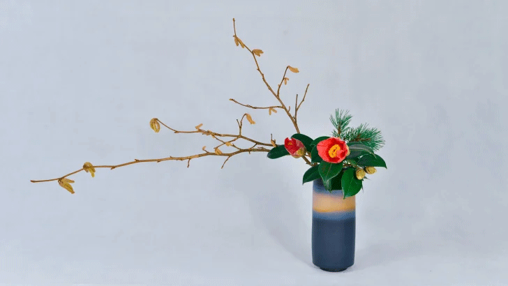 Img:Flower display