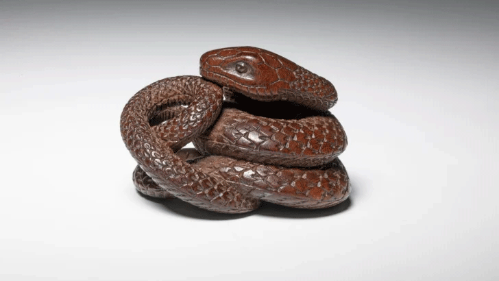 Img:A wooden netsuke of a coiled snake