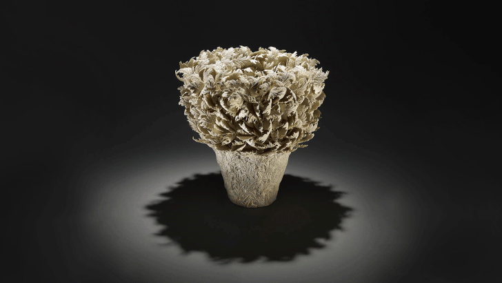 Img:pot in the center