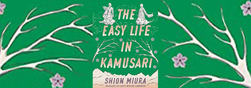 Img+ Book cover