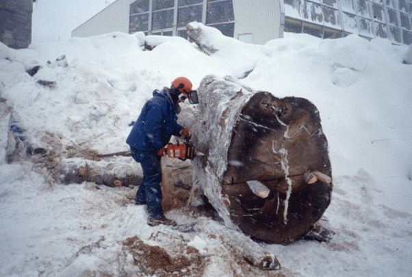 Img: wood chopping in the snow