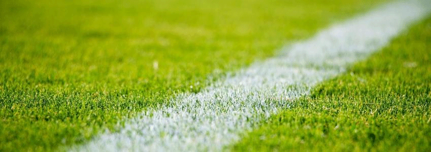 Img: Green grass with wihte line