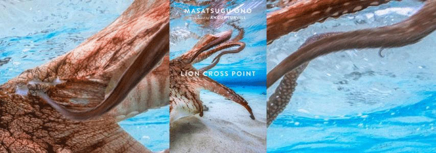 Img+ Book cover