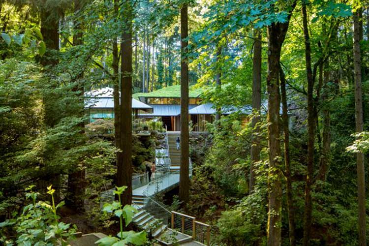 Talk: Portland Japanese Garden: An American Interpretation of a Japanese Artform