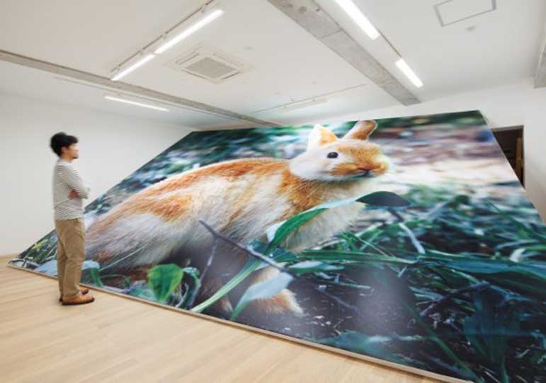 EXHIBITION: untitled yet' by Shuhei Yamada