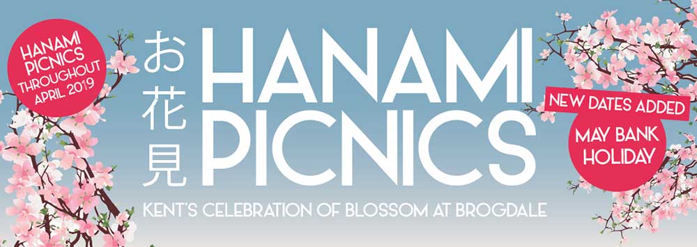 Hanami Festival & Hanami Experience