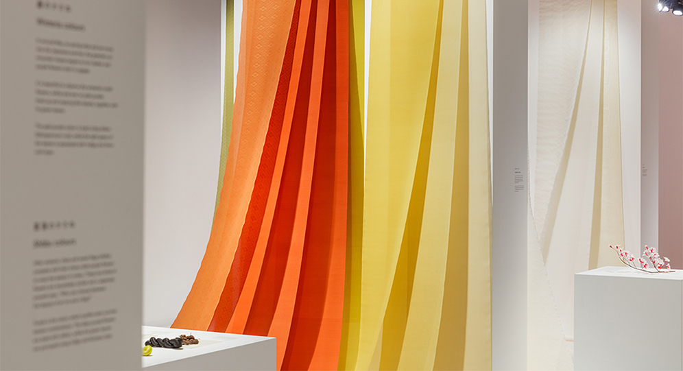 Curator Gallery Tour: Spotlight on ‘Living Colours’