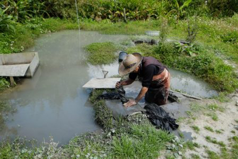 Dorozome (mud dyeing) Talk & Workshop with Dye Garden Tour