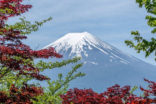 Sixth Form Japan Day 2019