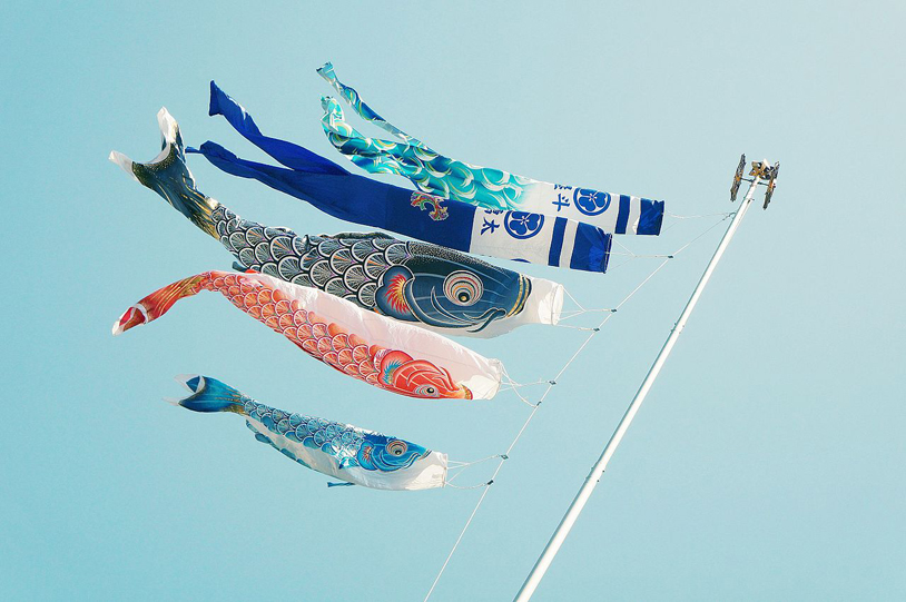 Koinobori Workshop, Chiddingstone Castle