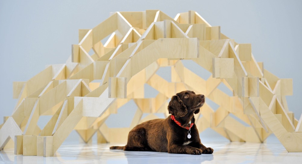 Architecture for Dogs: Interactive Display