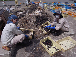 Image:Third Thursday Lecture: Cultural Properties Recovered? 10 Years on from the Great East Japan Disaster
