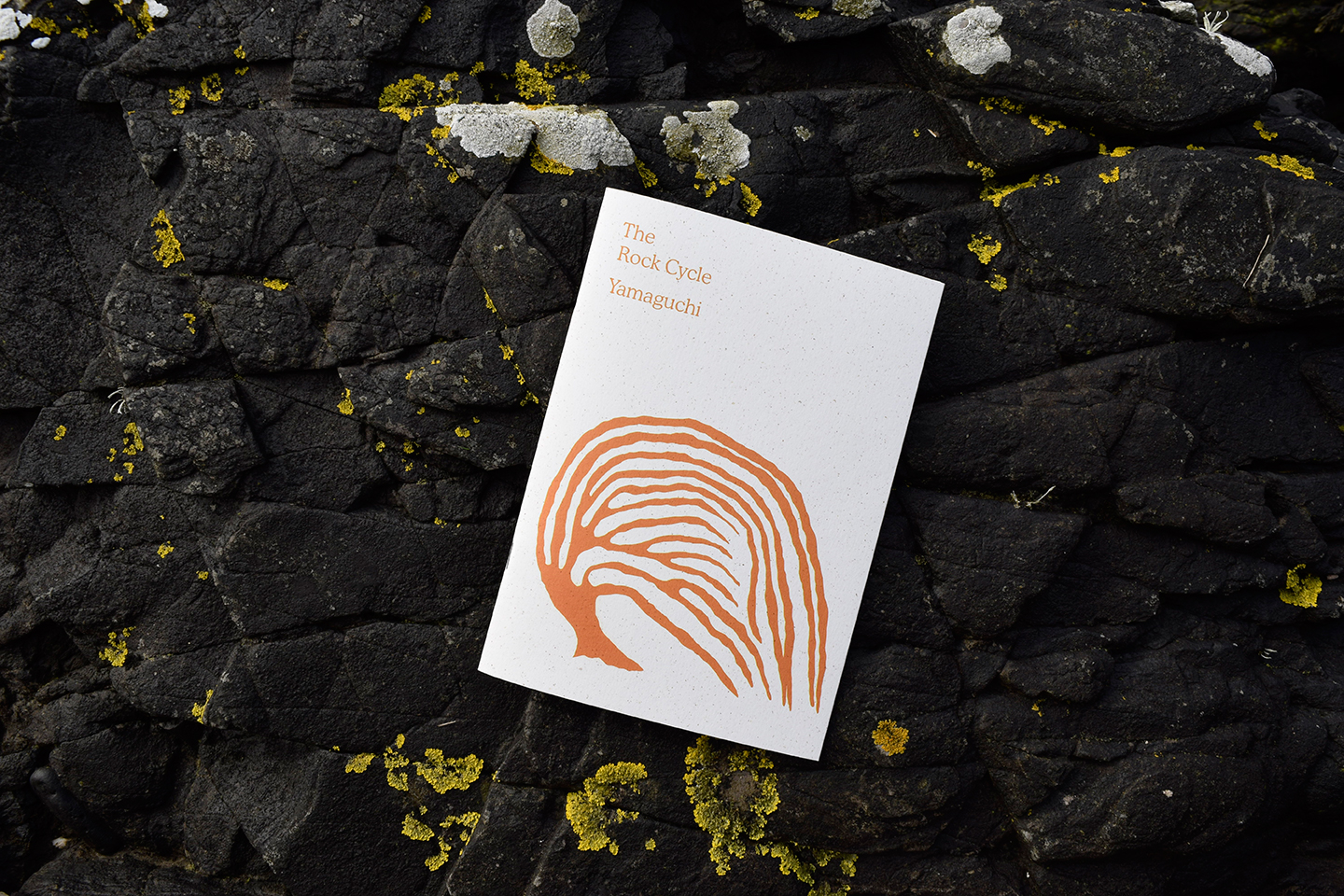 “Ilana Halperin: The Rock Cycle (Yamaguchi)” Book Launch Event - Performative Talk & Conversation