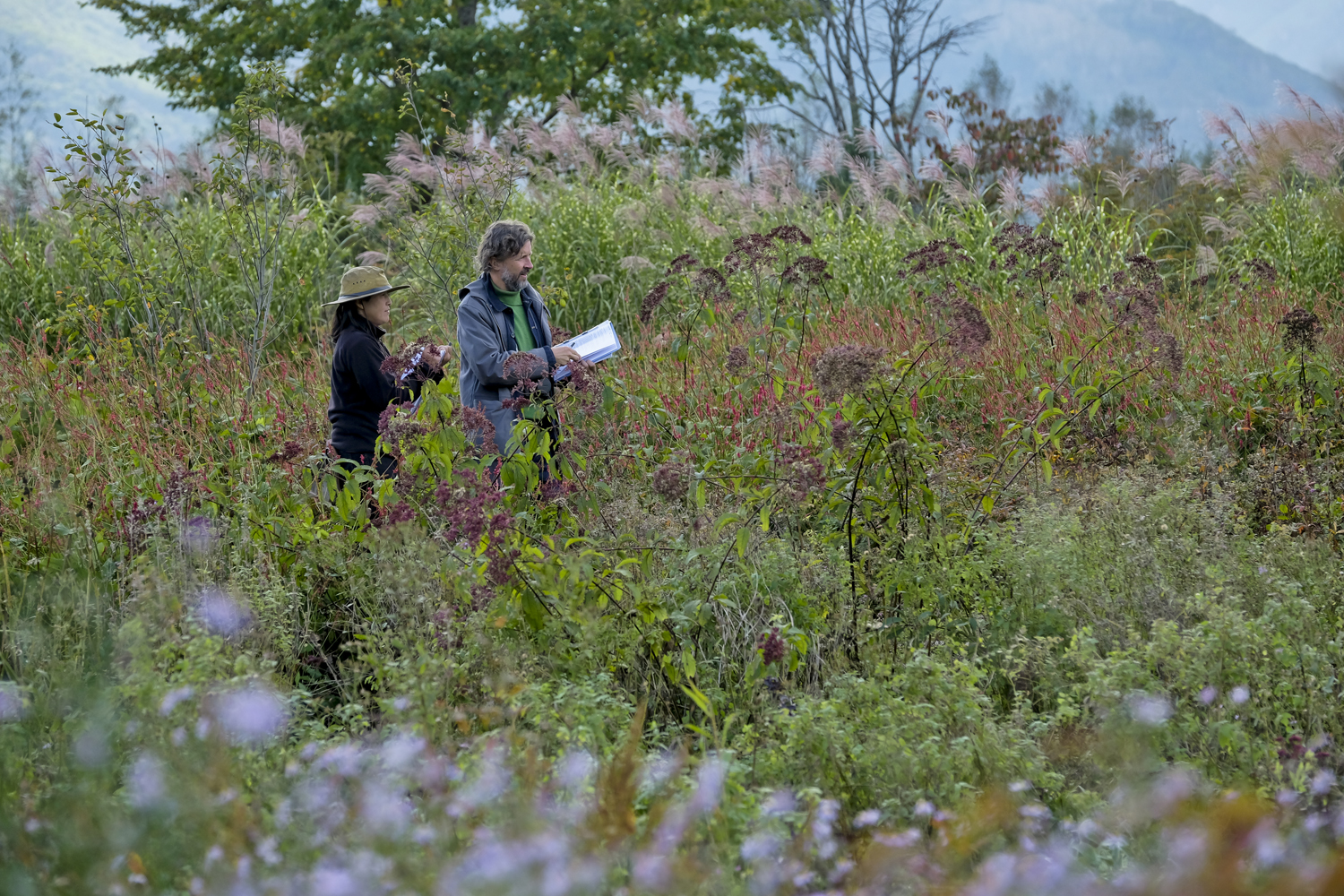 Tokachi Millenium Forest: a Radical Natural Vision
