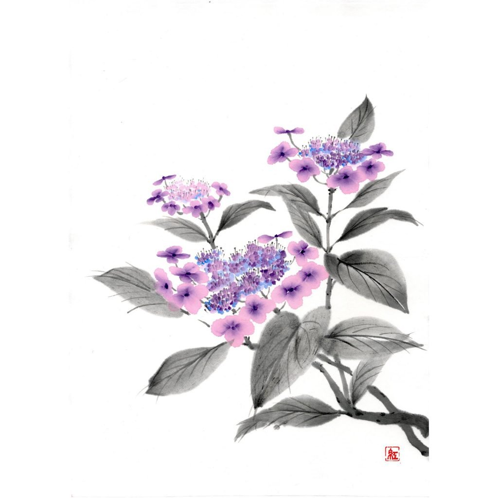 Sumi-e: Japanese Ink Painting Workshop Part 8 “Coloured Hydrangea” with Akemi Lucas