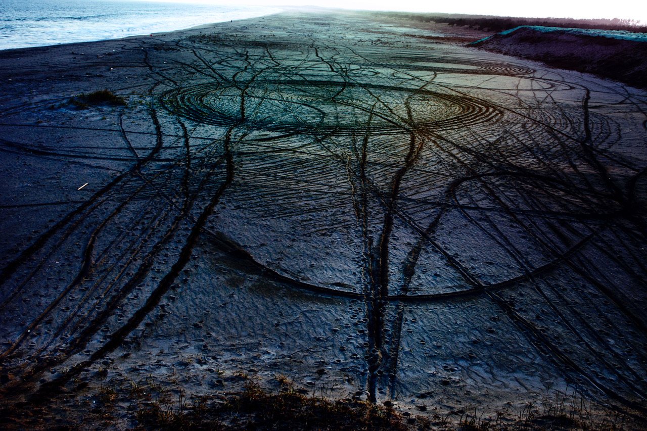Img: Curved lines in the sand on a beach