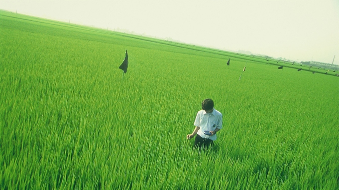 Boy walking through field of waist-high green grass