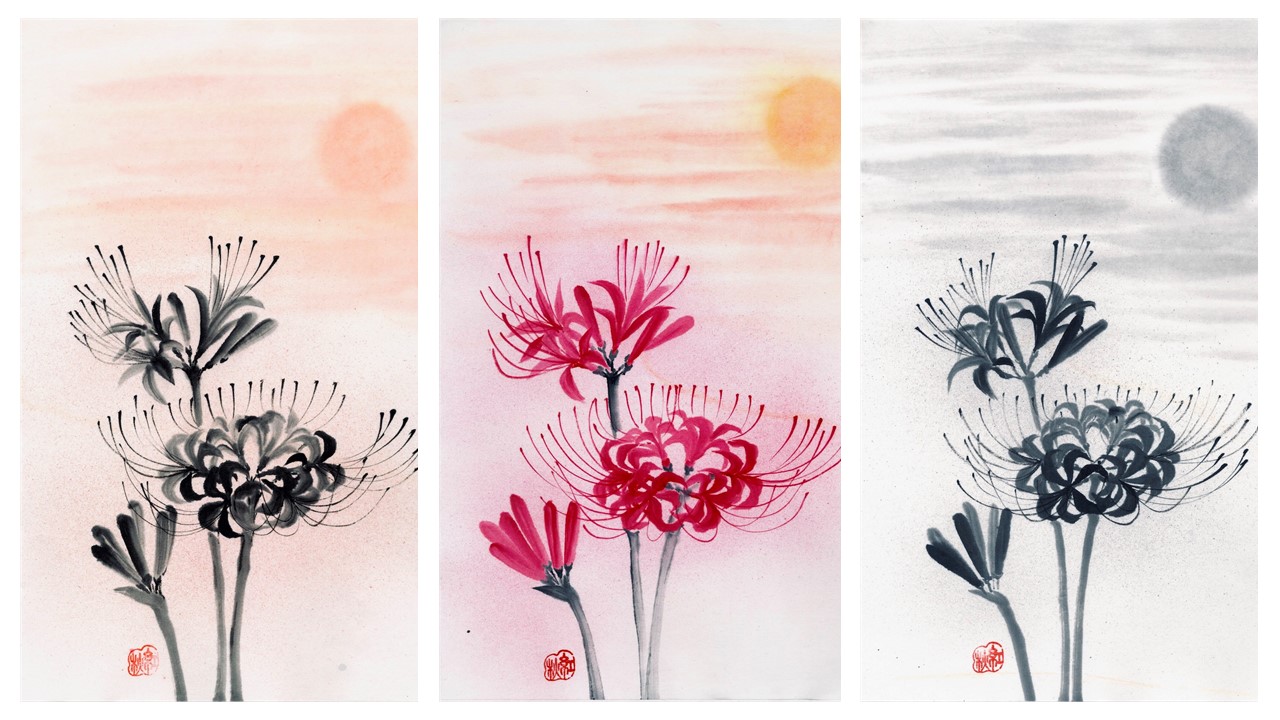 Amaryllis flowers in pink and greyscale
