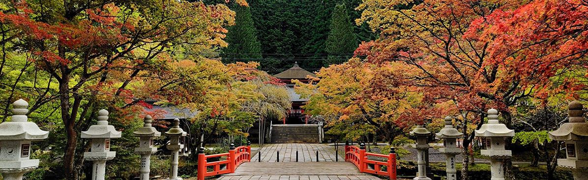 Img: Japanese shrine path flanked by trees