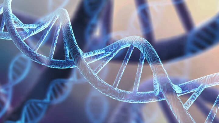 Img:DNA double helix