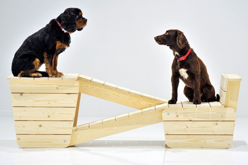 Two dogs on wooden platforms looking at each other