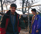 Image from 'What the Snow Brings'