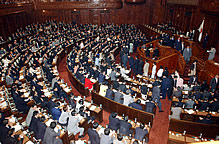 Members of the House of Representatives casting their vote