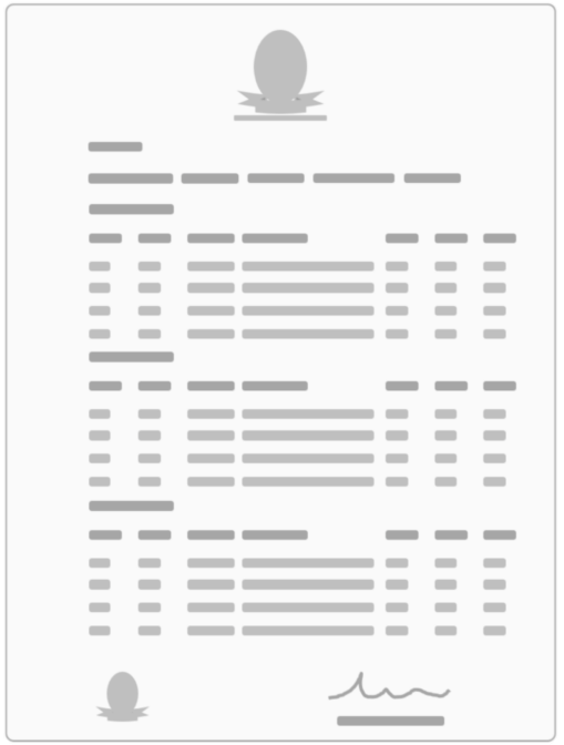 Document Icon