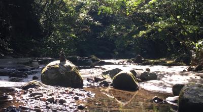 Japan, teach, JET, Japan Exchange and Teaching Programme, ALT, CIR