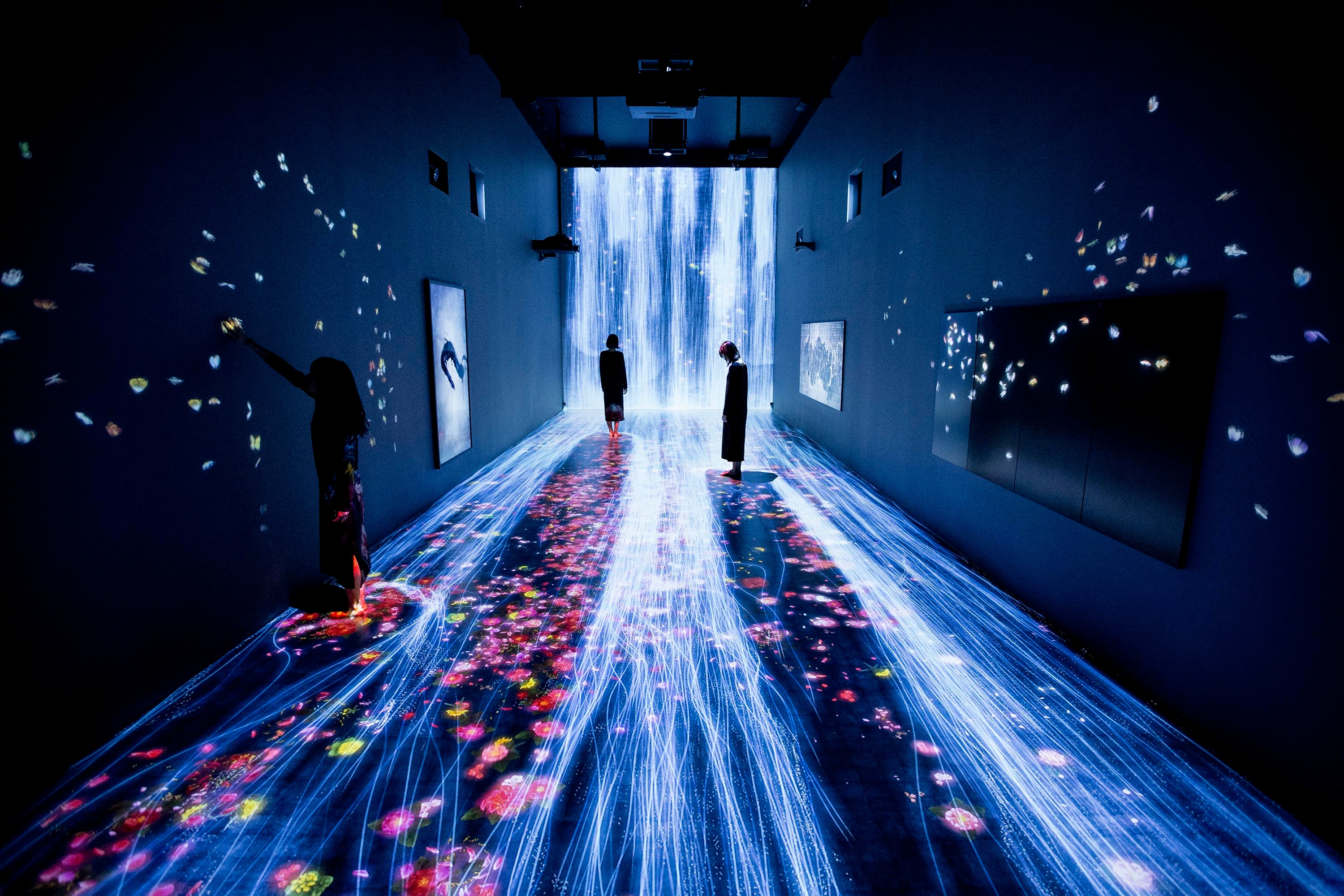 Installation view of teamLab: Transcending Boundaries