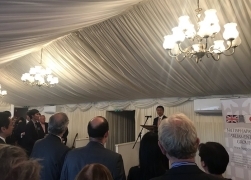 Parliamentary Group (APPG)