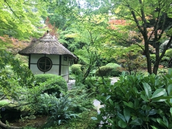 タットン パーク ミニ祭り 在英国日本国大使館