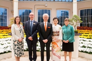 the chrysanthemum Garden