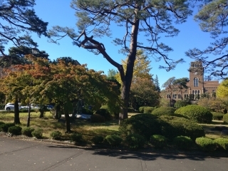 img1