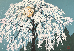 Aqua Poesy VII